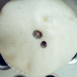 ไส้งาดำ(เจ)