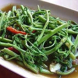 กระเฉดไฟแดง