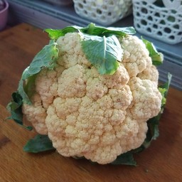 ผัดดอกคะน้าน้ำมันหอย ราดข้าว