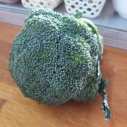 ผัดบล้อคโคลี่น้ำมันหอย ราดข้าว