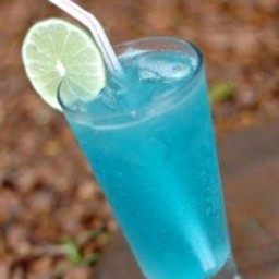 ขบเคี้ยวกุ๊กไก่