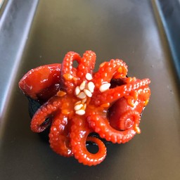 ซูชิเคน@นครศรีธรรมราช