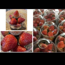 Ruk ka Bua cafe’ (เครื่องดื่ม)