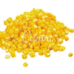 ข้าวโพด