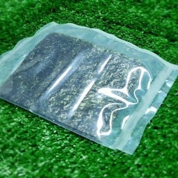 สาหร่ายแผ่น