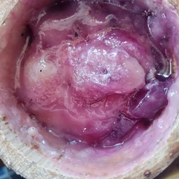 ไส้มันม่วงญี่ปุ่น