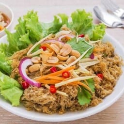 🌸มังกรปลาดุกฟู🌸