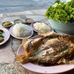 ใบเตยปลาเผา