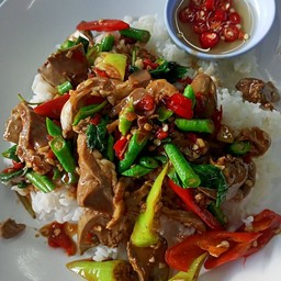 กระเพราเคื่องในไก่