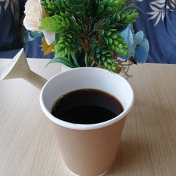Drip Coffee (Import)