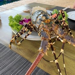 ฟาร์มเอฟกุ้งมังกร 7 สี