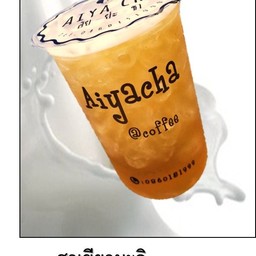 ชาเขียวมะลิ