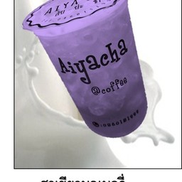 ชาเขียวบลูเบอร์รี่