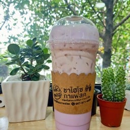 เผือกนมสด