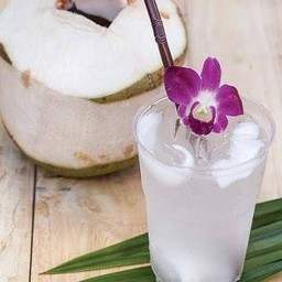 เจ๊นงลักษณ์มะพร้าวน้ำหอม สาขาในเมือง