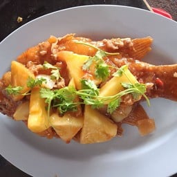 ปลาทับทิมสามรส