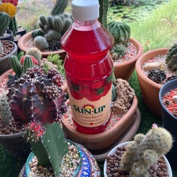 สตอเบอรี่