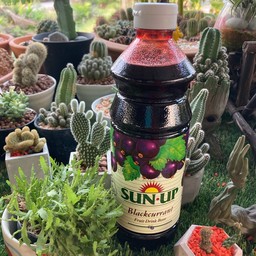 แบล็คเคอร์แรนท์