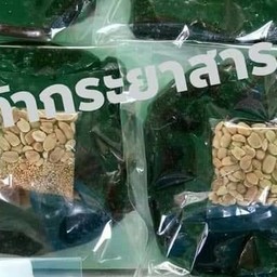ขนมกวน (กาละแมโบราณ )