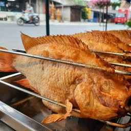 เมี่ยงปลาเผา ไพรัตน์ฟาร์ม