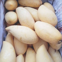 ขนมจีนตายุ่ง