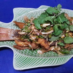 พล่าปลาทับทิม