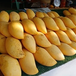 ลูกสวยๆ