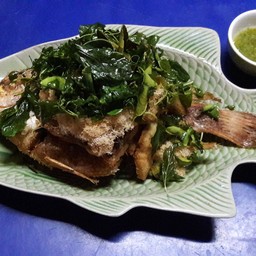 ปลาทับทิบทอดสมุนไพร