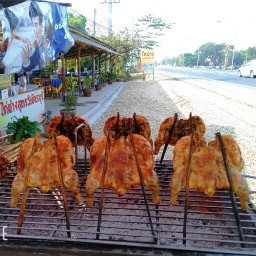 ไก่ย่างวิเชียรบุรี(คอสะพานบ้านกาซ้อง)