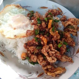 น้องโอชิ ตามสั่ง ชิตังเม