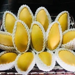 มะม่วงสุกน้ำดอกไม้ครึ่งกิโล