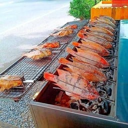 ตังตังปลาเผา