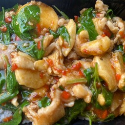 ข้าวราดผัดกะเพราไก่