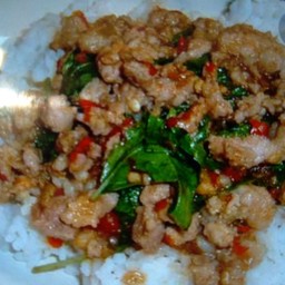 กระเพราเนื้อราดข้าว