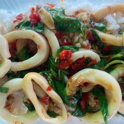 ข้าวราดผัดกะเพราหมึก