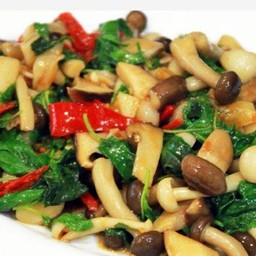 ข้าวกะเพราเห็ด