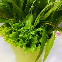 รวมผักสดทานกับแหนมเนือง