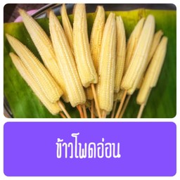 หม่าล่าสะท้านลิ้น