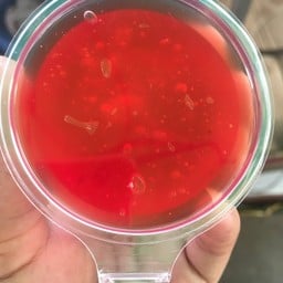 ปาท่องโก๋สเปน