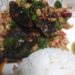ข้าว+ไข่เยี่ยวม้ากระเพราหมูสับ