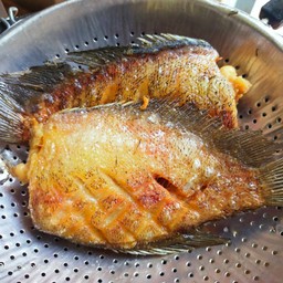 ปลาสลิดทอดตัว