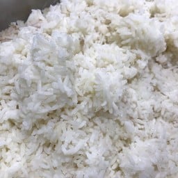 ข้าวเปล่า