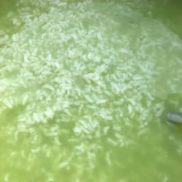 ข้าวต้มกุ๊ยใบเตยสด