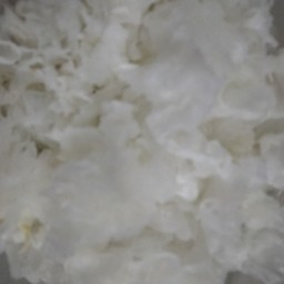 เห็กหูหนูขาว