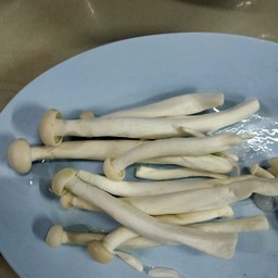 เห็ดโคนญี่ปุ่น