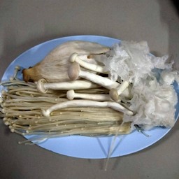 เห็ดรวม