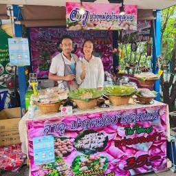 สาคู-ปากหม้อบ้านคุณแม่ นนทบุรี