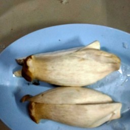 ้ห็ดออริจิ