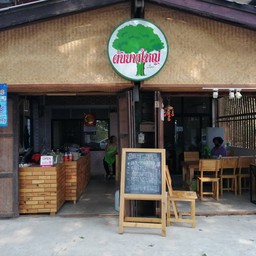 ต้นยางใหญ่