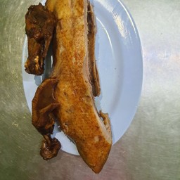 เป็ดครึ่งตัว